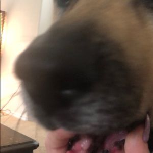 Meet your Posher, Sophie